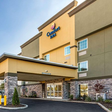 Comfort Inn Airport Memphis Exterior foto